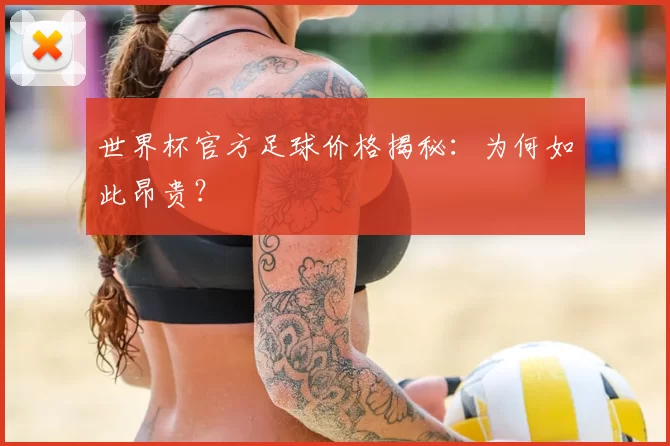 世界杯官方足球价格揭秘：为何如此昂贵？