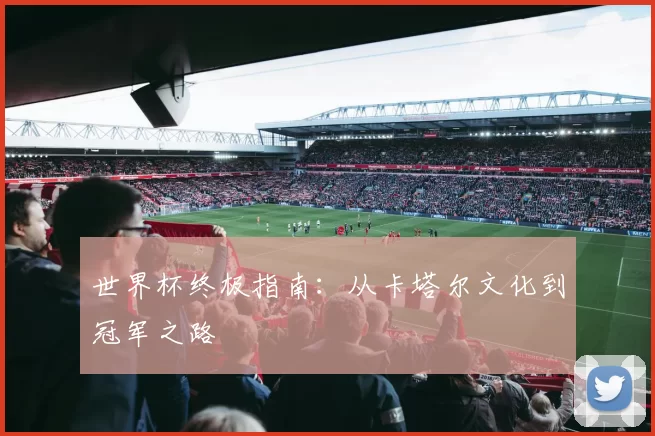 世界杯终极指南：从卡塔尔文化到冠军之路