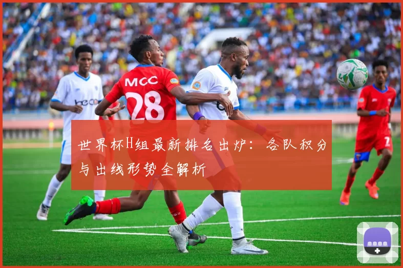 世界杯H组最新排名出炉:各队积分与出线形势全解析