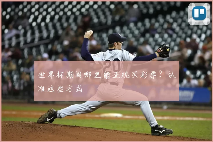 世界杯期间哪里能正规买彩票？认准这些方式