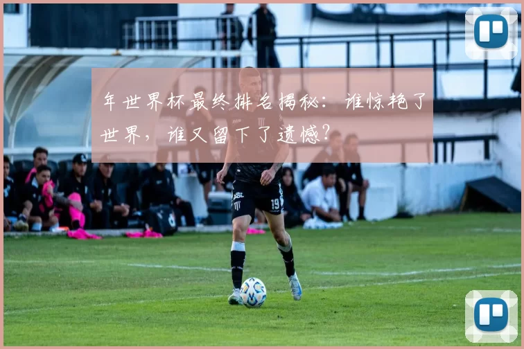 年世界杯最终排名揭秘：谁惊艳了世界，谁又留下了遗憾？