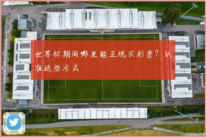 世界杯期间哪里能正规买彩票?认准这些方式