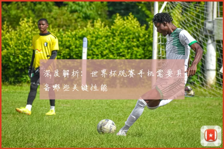 深度解析:世界杯观赛手机需要具备哪些关键性能