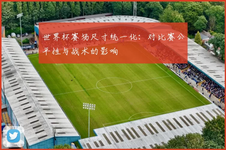世界杯赛场尺寸统一化:对比赛公平性与战术的影响