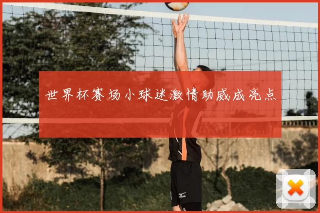 世界杯赛场小球迷激情助威成亮点