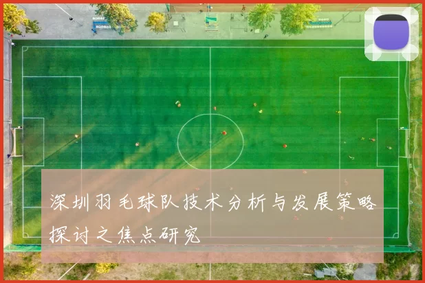 深圳羽毛球队技术分析与发展策略探讨之焦点研究