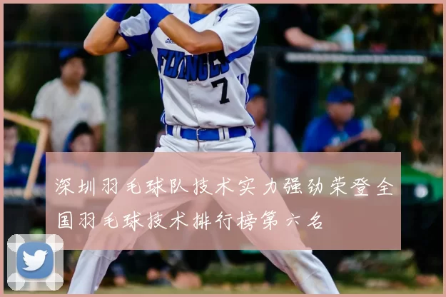 深圳羽毛球队技术实力强劲荣登全国羽毛球技术排行榜第六名