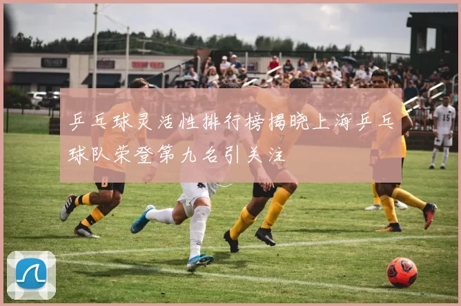 乒乓球灵活性排行榜揭晓上海乒乓球队荣登第九名引关注