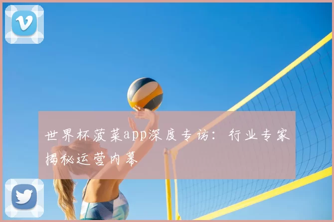世界杯菠菜app深度专访：行业专家揭秘运营内幕
