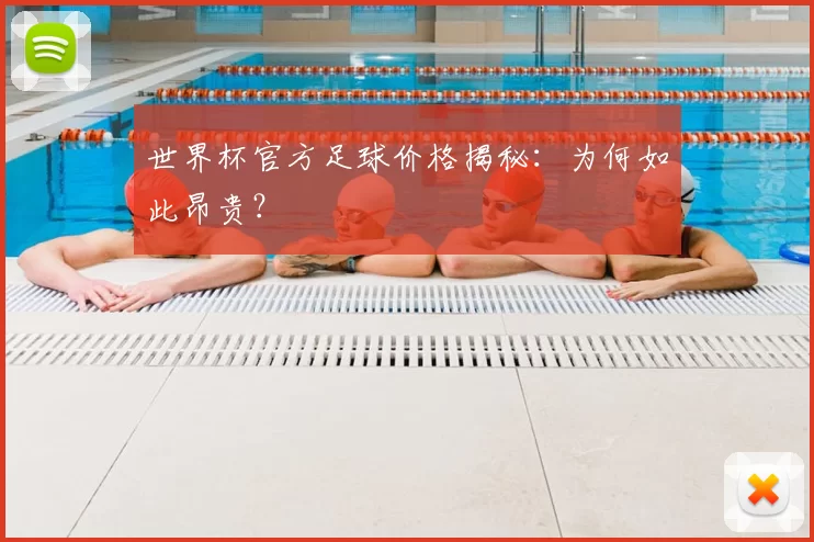 世界杯官方足球价格揭秘：为何如此昂贵？