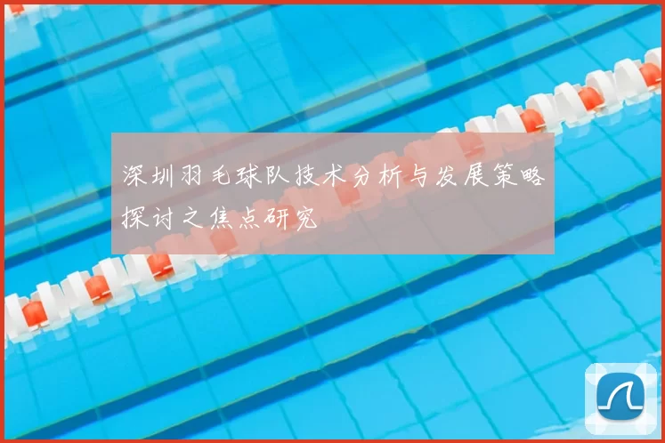 深圳羽毛球队技术分析与发展策略探讨之焦点研究